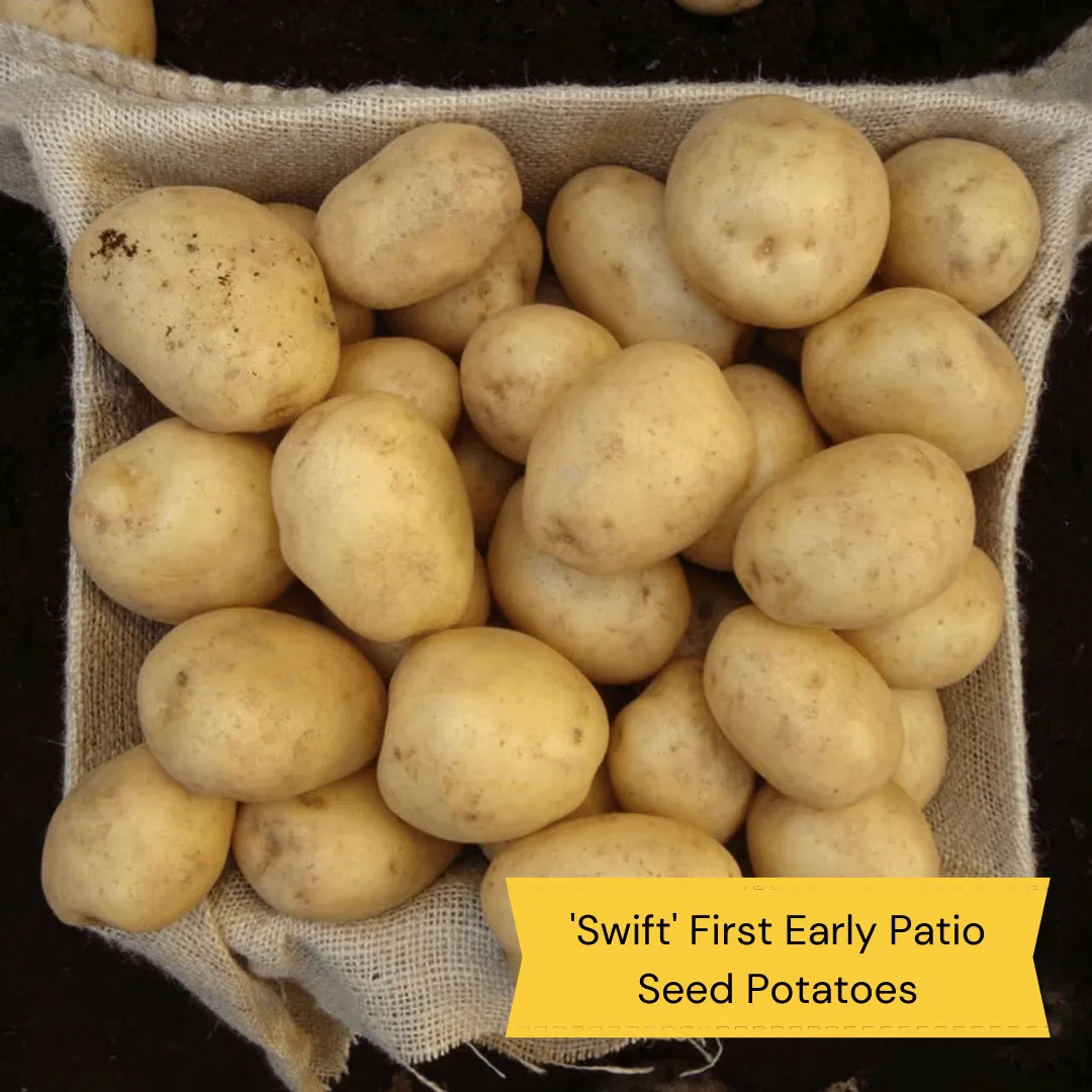 Full Season Seed Potato Pack | Growers' Choice