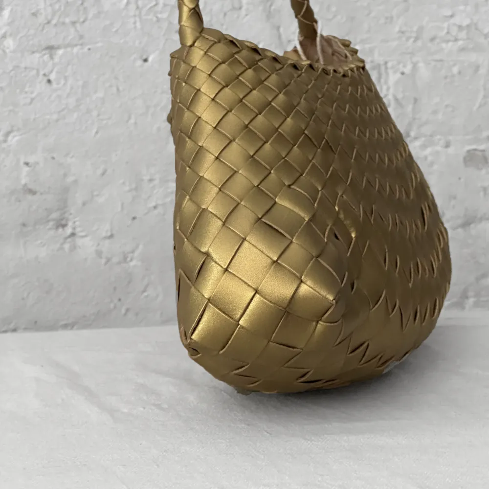 Leather Dragon Diffusion Rosanna Bag in Gold