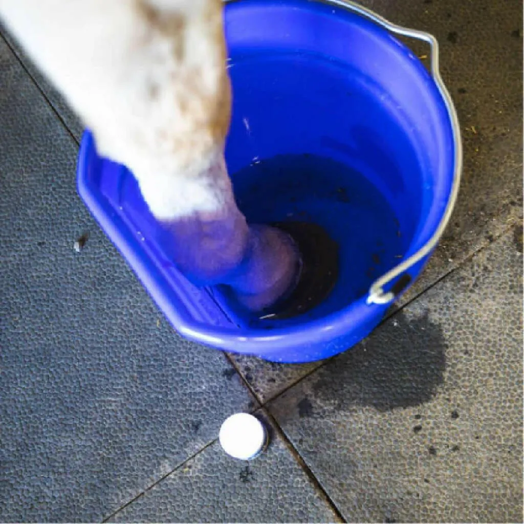 Vetricyn Mobility Hoof Soak Support for Horses